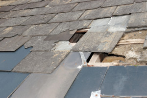 Dellwood Roof Damage And Repairs